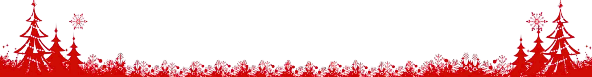 Winter Light Christmas Holiday Trees in Rockland County NY